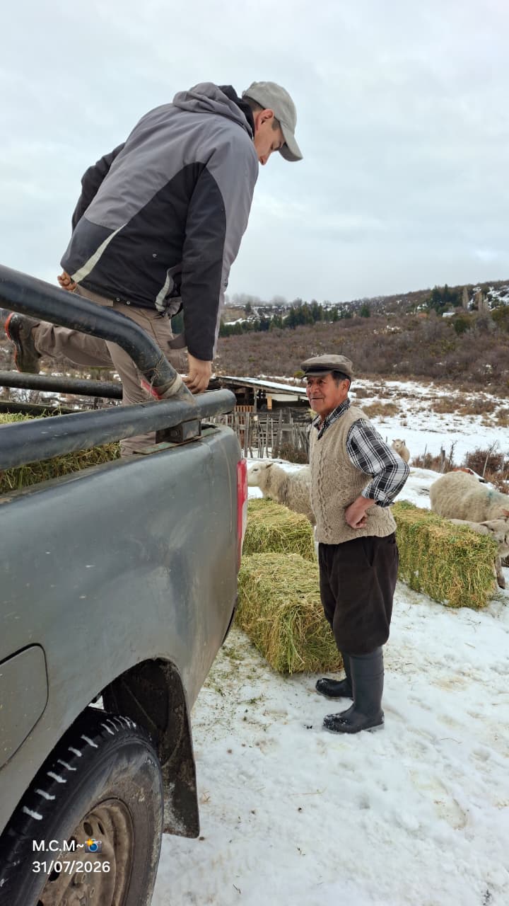 150 familias asistidas con forraje para sus animales.