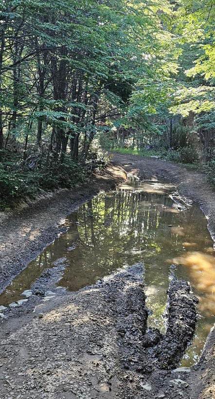 Emergencia Ignea. Preocupación por el acceso a Bagillt.