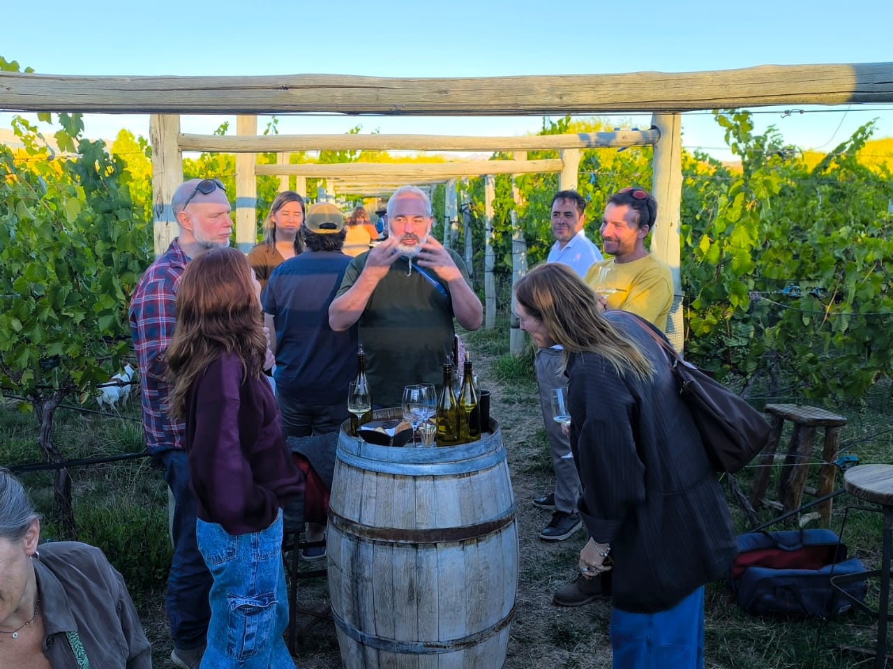 FiViT 2026: Trevelin celebra su Fiesta de los Viñedos.