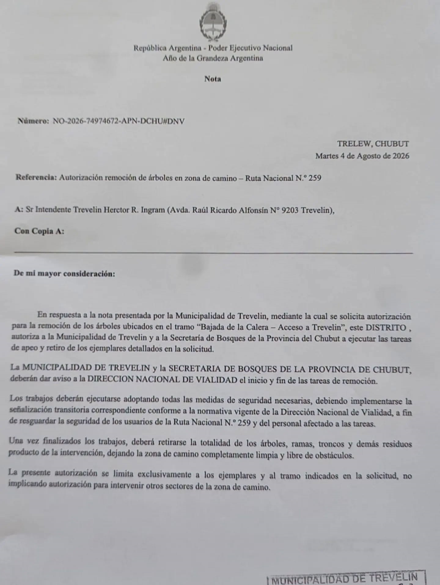 Retiran árboles de la Ruta 259.