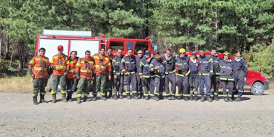 Ingram destacó el trabajo contra el incendio en Los Cipreses.