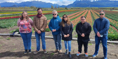 Ingram, presente en la apertura del Campo de Tulipanes a los Turistas.