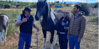 Ingram visitó emprendimiento ecuestre Frison Barok Patagonia.