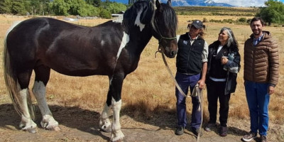 La Secretaría de Turismo acompaña el desarrollo de Frisón Barock Patagonia (Imagen: Archivo Prensa Municipalidad de Trevelin).