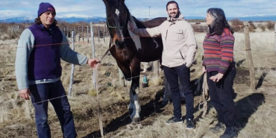 Nuevo servicio de cabalgatas en Trevelin.