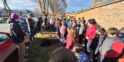 Plantación de árboles nativos en la Escuela Bilingüe.