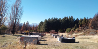 Tras el incendio Municipio, trabaja en la recuperación del cementerio de Los Cipreses.