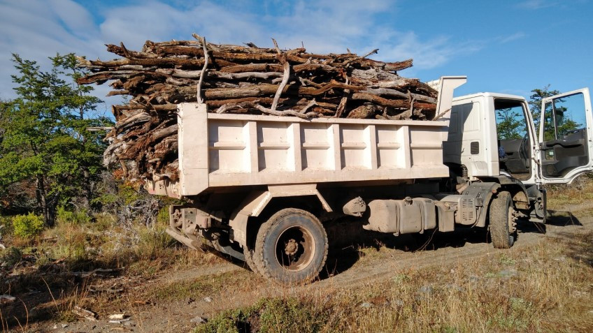 Avanzan las tareas de bajada de leña en Lago Rosario y Sierra Colorada.