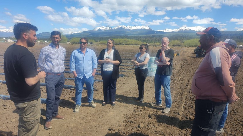 Emprendimiento frutillero amplía su producción y genera empleo en Trevelin.