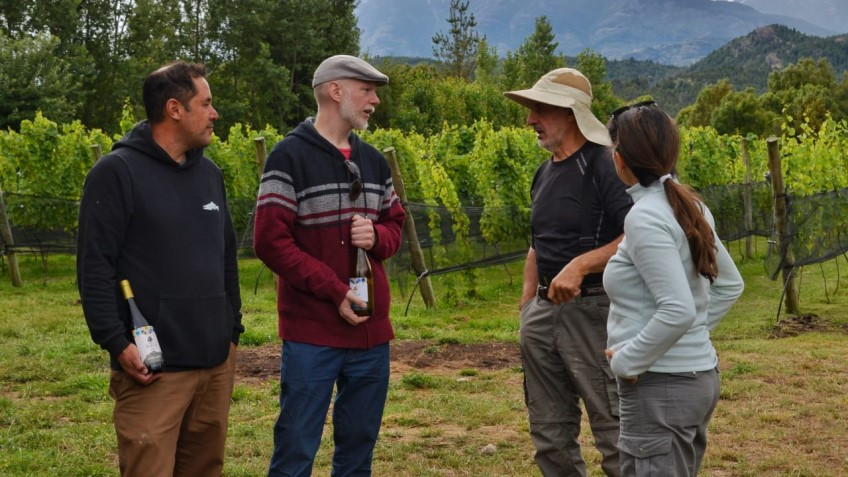 FiViT 2026: Trevelin celebra su Fiesta de los Viñedos.