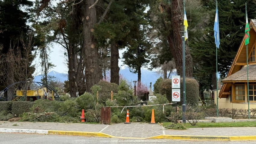Trabajos de mantenimiento y poda en la Plaza Coronel Fontana.