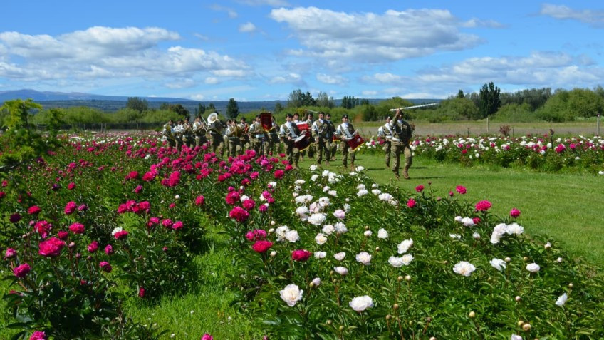 Trevelin lanzó su temporada 2025 con la floración de las Peonías en Taiyō Jardín Cordillerano.