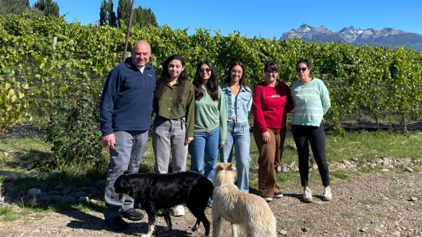 Viñas del Nant y Fall.