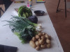 Jornada de sensibilización en agroecología en Trevelin.