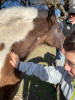 La Secretaría de Turismo acompaña el desarrollo de Frisón Barock Patagonia.