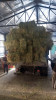 Municipio asiste a productores de los parajes.