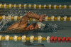 Torneo Provincial de Natación Trevelin 2024.