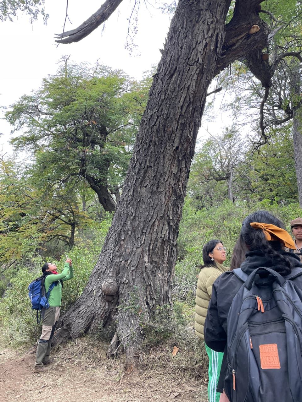 Trevelin y sus Parajes. Caminata y gastronomía en Sierra Colorada por el Mes de la Mujer.